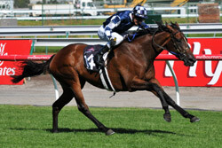 Shamrocker Wins the Australian Guineas